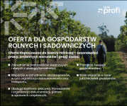 wsparcie przy pozyskiwaniu oraz zatrudnianiu pracowników