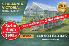 Mocna Szklarnia Victoria, wysokość: 2,50m, profil: 40x40mm Suwałki - zdjęcie 2