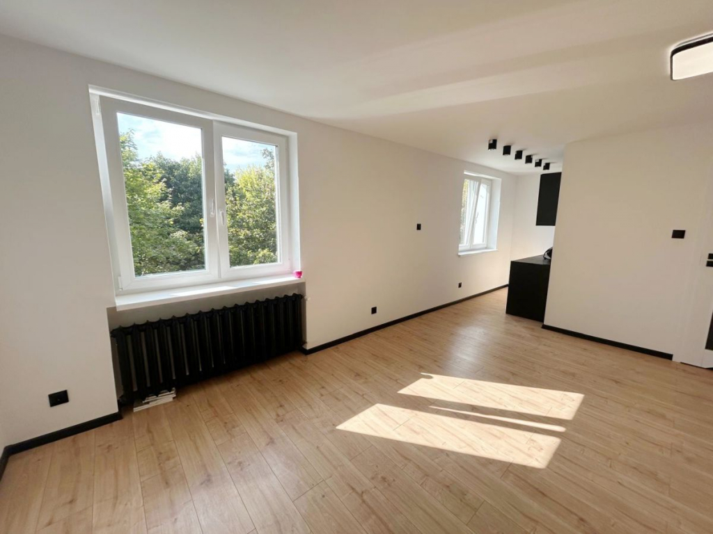 Przestronna kawalerka po kapitalnym remoncie! Poznań - zdjęcie 4