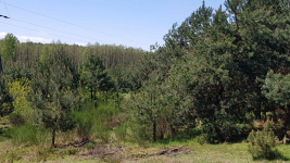 SUPER ATRAKCYJNA DZIAŁKA budowlana z lasem , piękna okolica - Taurów Taurów - zdjęcie 10