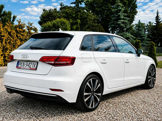 Audi A3 Sadlno - zdjęcie 8