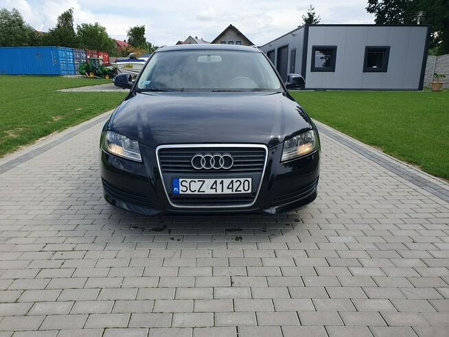 Audi A3 1.9tdi 105KM Sportback LIFT Raty Zamian Strobice - zdjęcie 6