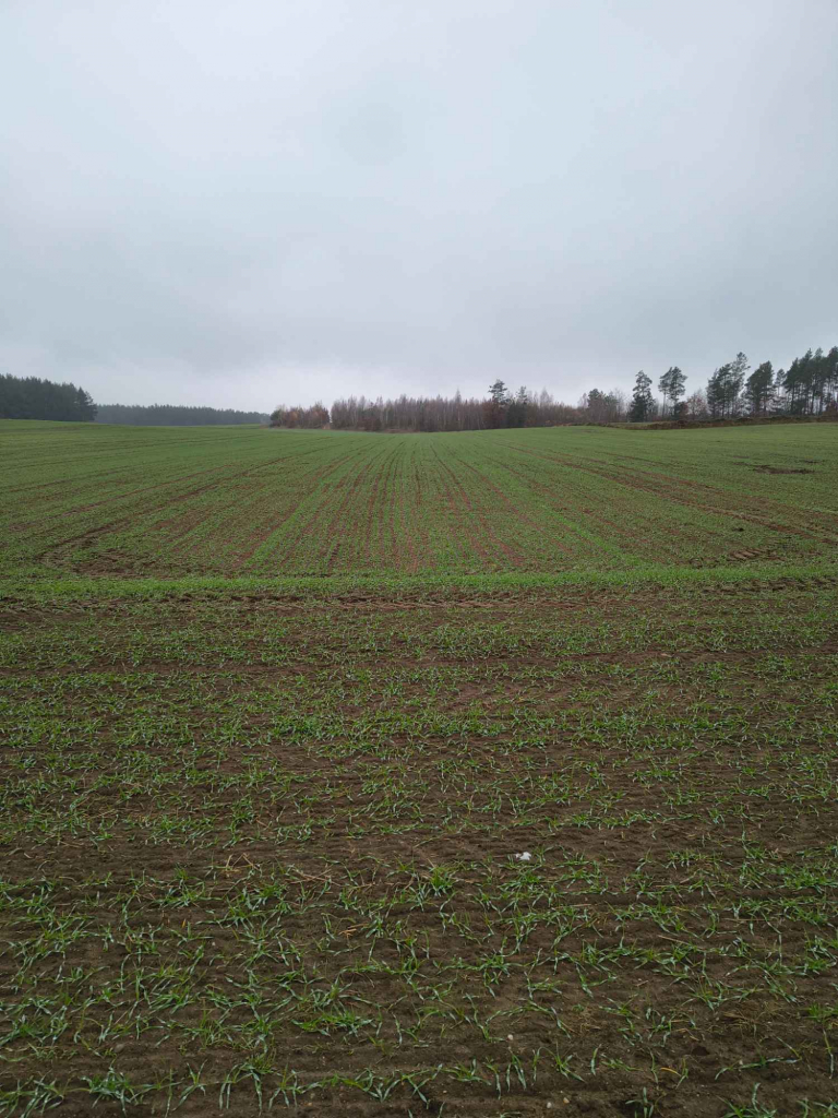 Działki budowlane Kałęczyn gmina Piątnica | bez pośredników Kałęczyn - zdjęcie 1