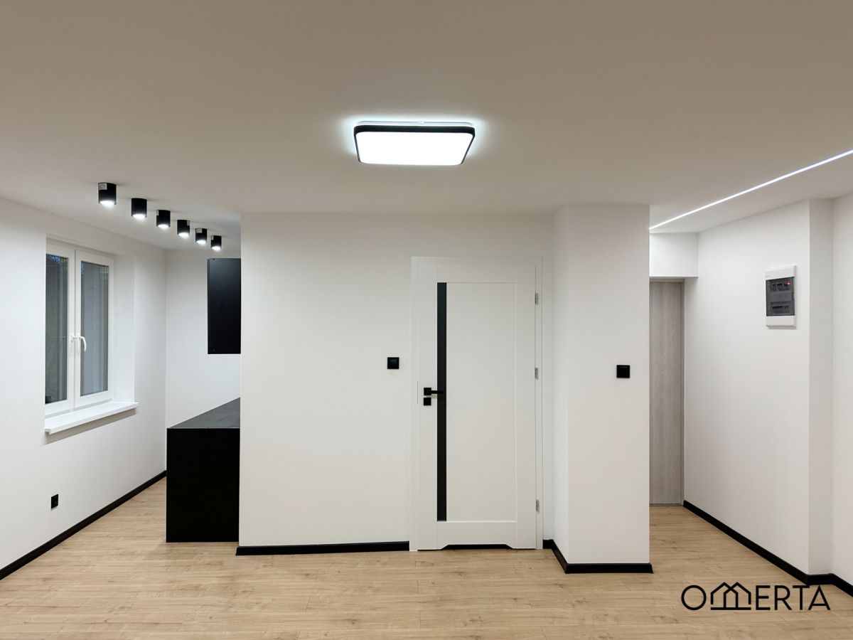 Przestronne i atrakcyjne mieszkanie po remoncie! Poznań - zdjęcie 8