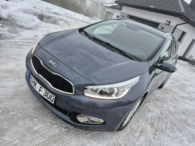 Kia Cee'd 1.6 gdi oświetlenie led Benzyna grzane fotele Drelów - zdjęcie 11