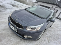 Kia Cee'd 1.6 gdi oświetlenie led Benzyna grzane fotele Drelów - zdjęcie 11