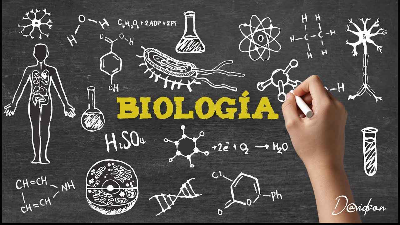 Zatrudnię nauczycielkę/ studentkę biologii Wasilków - zdjęcie 1