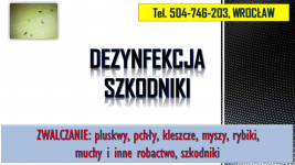 Rybiki zwalczanie, tel 504-746-203, dezynfekcja rybików, Wrocław. cena Psie Pole - zdjęcie 3
