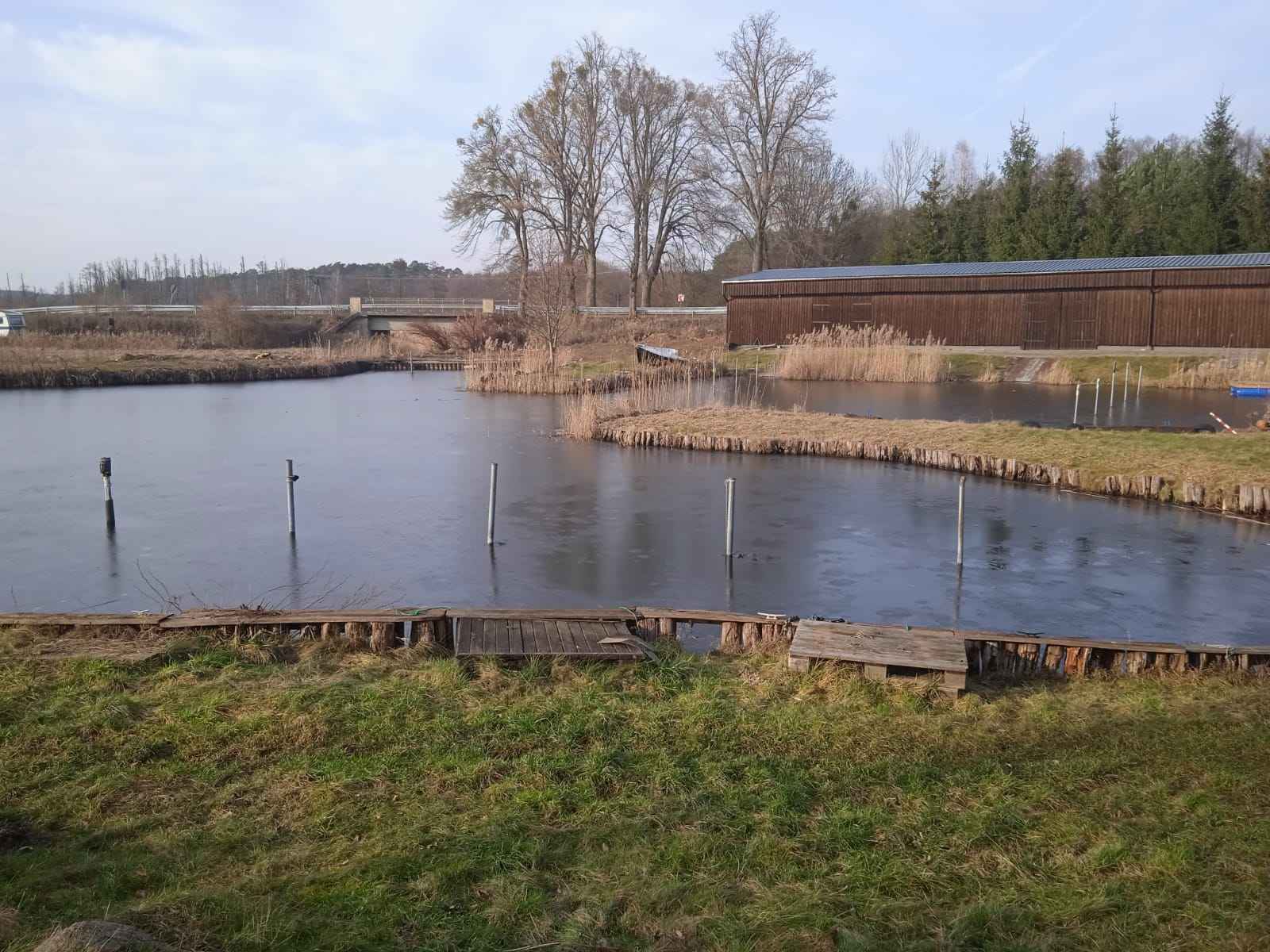 Koparka long,koparka kołowa long kopanie stawów czyszczenie stawów Nowa Huta - zdjęcie 4