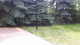 Sezon--2024-Samodzielny dom z ogrodzoną działką nad jeziorem Ługowiska Ługowiska - zdjęcie 3