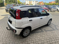 Fiat Panda 1,2 69KM  Klimatyzacja  1Właściciel Orzech - zdjęcie 6