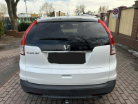 Honda CR-V 1.6i-DTEC bezwypadkowy serwisowana Słupsk - zdjęcie 6