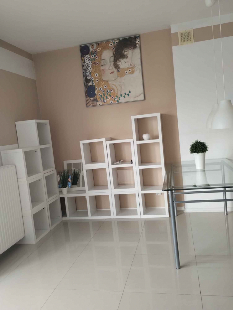 Wynajmę kawalerkę/30m2 Aleksandrów Łódzki - zdjęcie 2