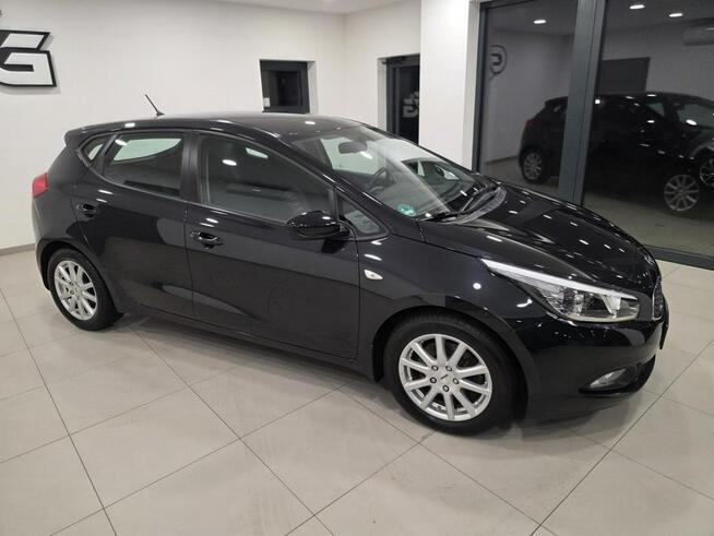 Kia Cee'd 1.6 / Bezwypadkowy/Serwisowany/Gwarancja roczna w cenie Korczyna - zdjęcie 8