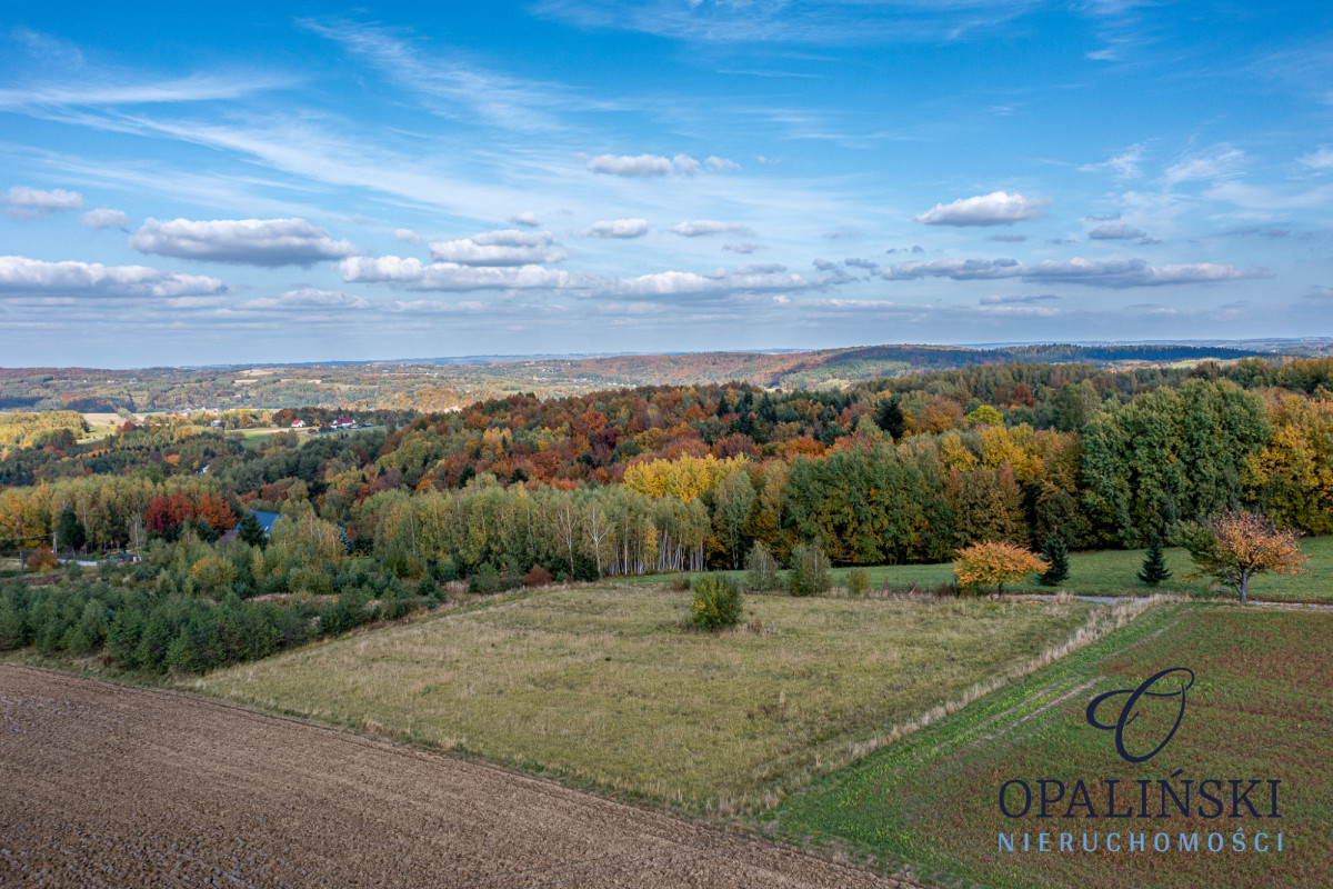 Atrakcyjna | WZ | Panorama | Zaciszne miejsce | Straszydle - zdjęcie 3