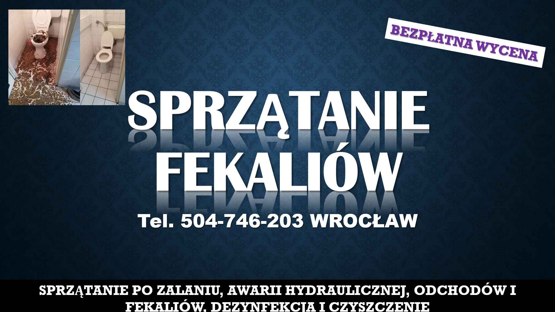 Sprzątanie fekaliów Wrocław, tel. 504-746-203. Po zalaniu kanalizacji, Psie Pole - zdjęcie 1
