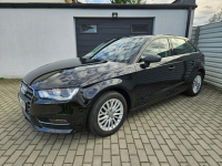 Audi A3 2.0 TDI 150KM quattro BEZWYPADEK 5 drzwi ZADBANY BDB stan Gdynia - zdjęcie 11