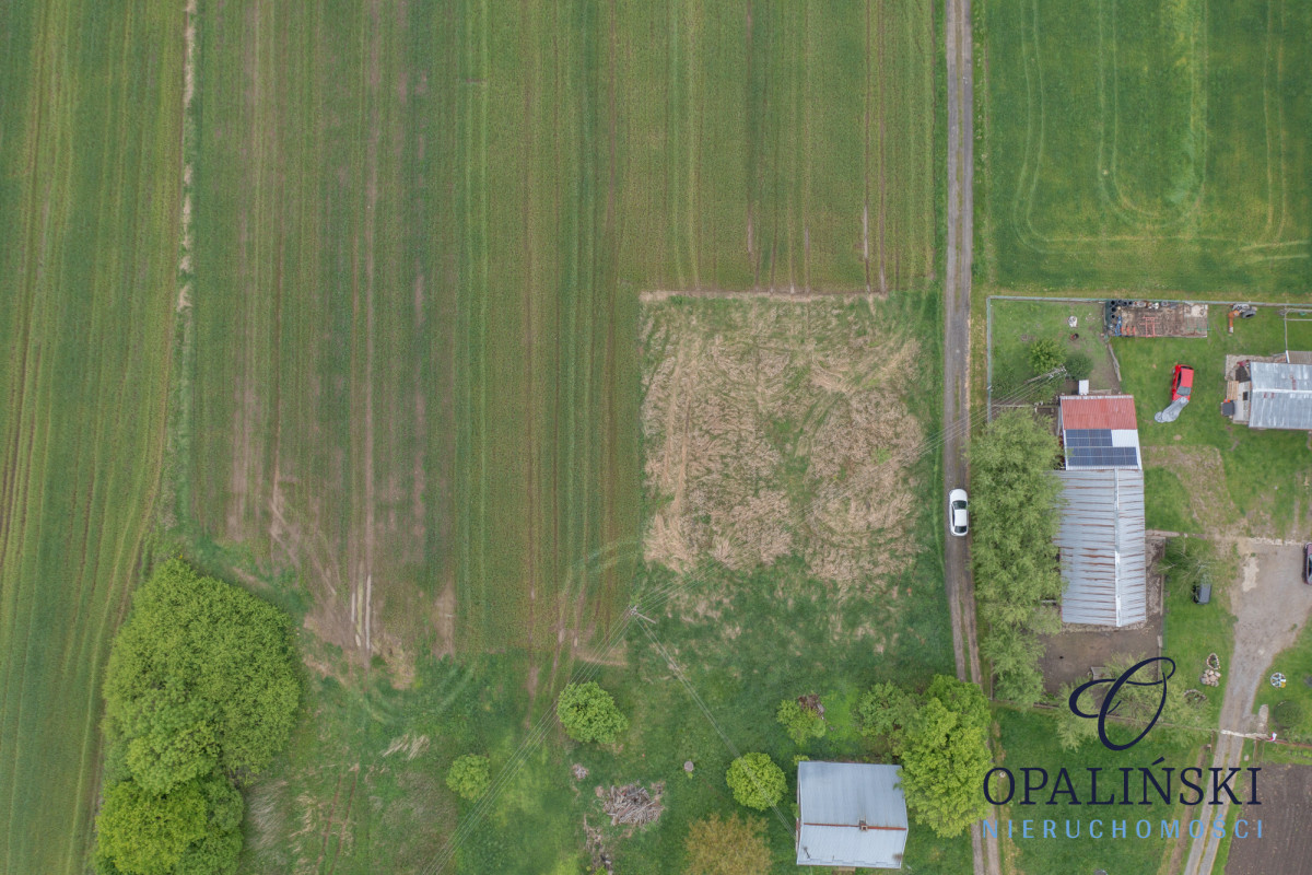 Cisza | Spokój | Las | Budowlana Czerce - zdjęcie 3