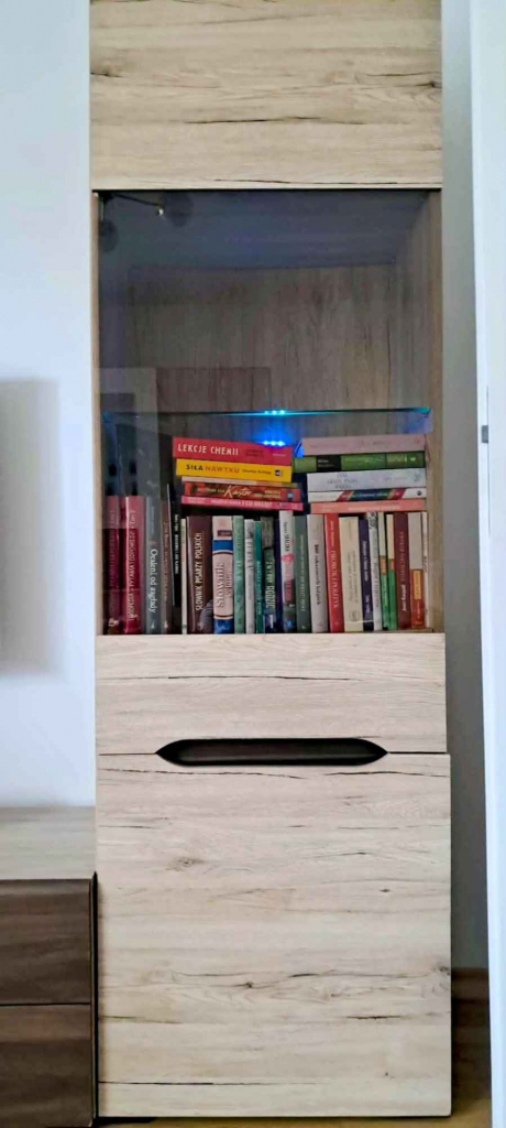 Sprzedam witrynę Psie Pole - zdjęcie 1