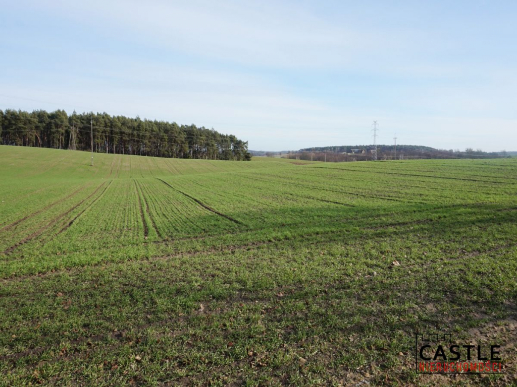 Działka z widokiem na jezioro! Sieraków - zdjęcie 4