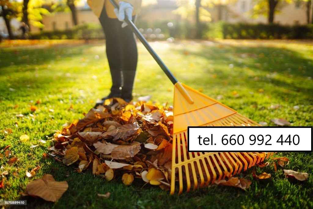 Koszenie trawników, jesienne prace ogrodowe Gdańsk - zdjęcie 7