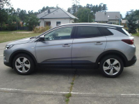 Opel Grandland X Serwis ASO.Stan idealny. Morzyczyn - zdjęcie 9