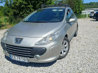 Peugeot 307 Krajowy, benzyna 1.6, klimatyzacja