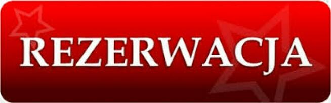 Ford Grand Tourneo Connect 7 osób Grand Panorama Serwis Rybnik - zdjęcie 1