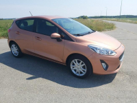 Ford Fiesta Pierwszy właściciel w Polsce 100% oryginał lakier Przasnysz - zdjęcie 3