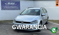 Volkswagen Golf Salon Polska, Gwarancja 12 miesięcy