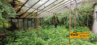 Działka z domem i możliwością jego rozbudowy - 5 km od Chojnowa Chojnów - zdjęcie 9