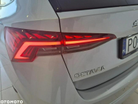 Škoda Octavia Kraków - zdjęcie 11