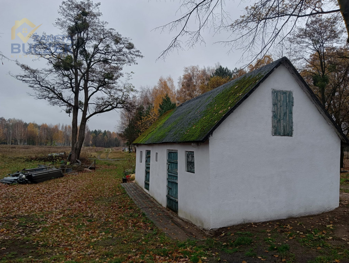 nieruchomość rolno-leśna zabudowana Młodzieszyn - zdjęcie 11