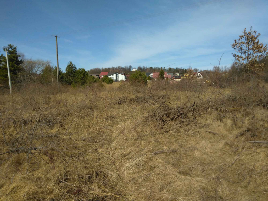 Sprzedam działkę budowlaną w Miedzianej Górze Miedziana Góra - zdjęcie 4