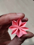 Moduł do kuli/bombki kusudama Grabówiec - zdjęcie 1