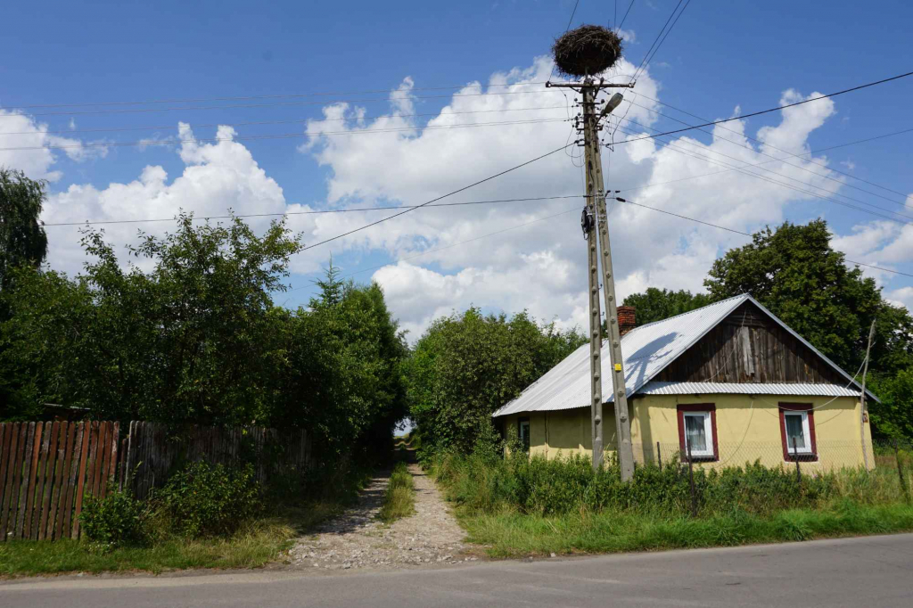 Siedlisko pod Adamowem pow. łukowski woj. lubelskie Łuków - zdjęcie 4