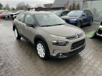 Citroen C4 Cactus Feel Start&amp;Stop Navi Klima Gliwice - zdjęcie 2