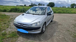 Peugeota 206 Plewiska - zdjęcie 2