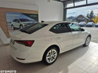 Škoda Octavia Kraków - zdjęcie 6