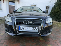 Audi A3 1.6MPI 102KM Sportback z Niemiec Zadbany Facelift Ocice - zdjęcie 12