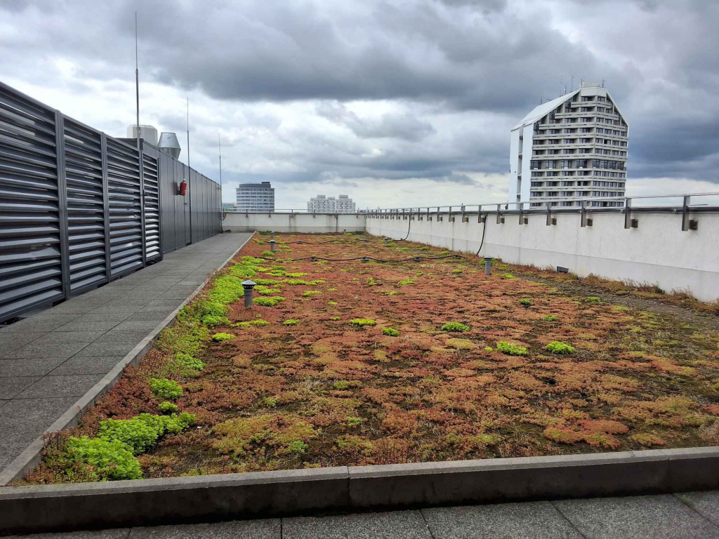 1pok, 18met, Okolice Koszarowej WINDA/2022 (Wrocław) Psie Pole - zdjęcie 12