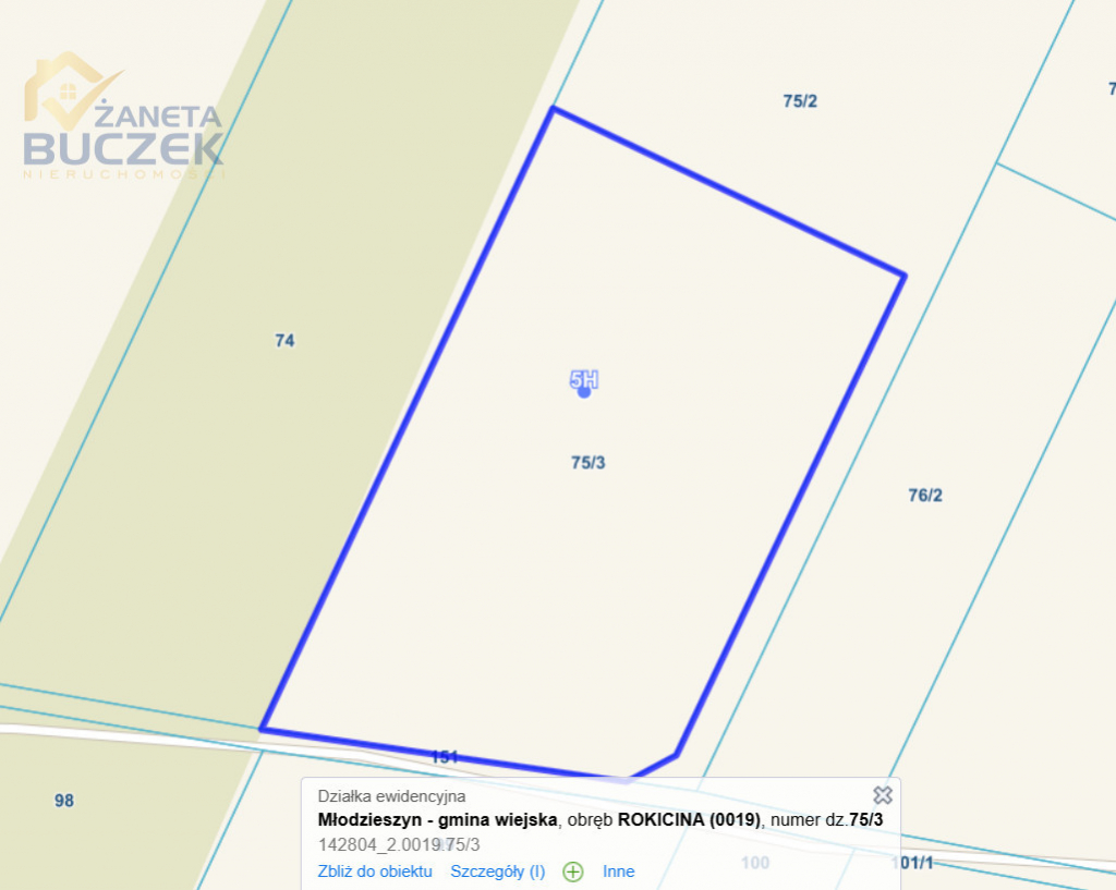 Duża działka na Sprzedaż z WZ Młodzieszyn - zdjęcie 2