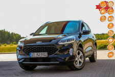 Ford Kuga Radar System Pasa Navi Android Auto Virtual Cockpit Ledy