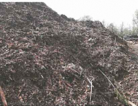 biomasa, kora sosnowa Stare Miasto - zdjęcie 2