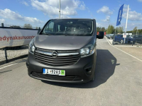 Opel Vivaro Lipówki - zdjęcie 2