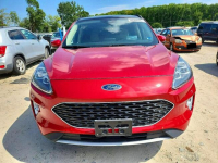 Ford Kuga TITANIUM / AWD / niski przebieg Białystok - zdjęcie 2