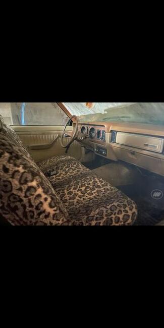 Ford Mercury Zephyr 1980 Terespol - zdjęcie 9