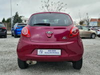 Ford KA Klimatyzacja El.Szyby Halogeny Komputer Alufelgi Idealny Stan Wągrowiec - zdjęcie 6