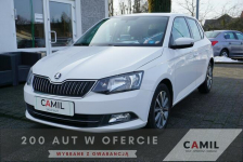 Škoda Fabia polski salon