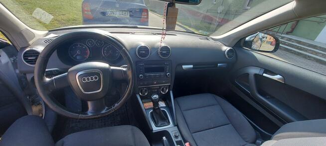 Audi A3 8P 1.6 TDI 2010 Nysa - zdjęcie 7